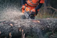 Pilarka Husqvarna 592 XP profesjonalna - 5