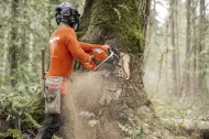 Pilarka Husqvarna 592 XP profesjonalna - 3