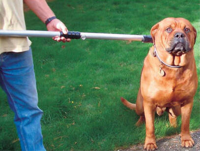 Chwytak (poskrom) dla psów agresywnych i silnych, dł 150 cm