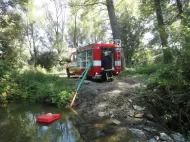 Pływający smok ssawny Amphibio MINI z ruchomą głowicą - 4